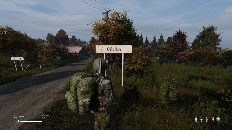 DAYZ
